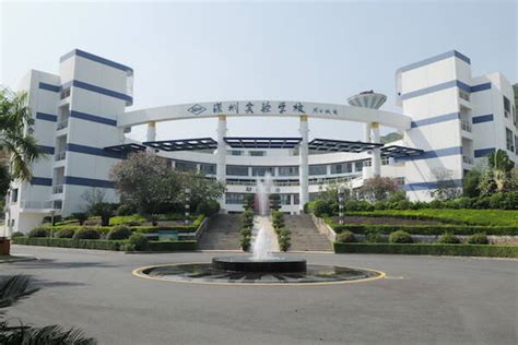 深圳市桃源居中澳实验学校高中双语课程
