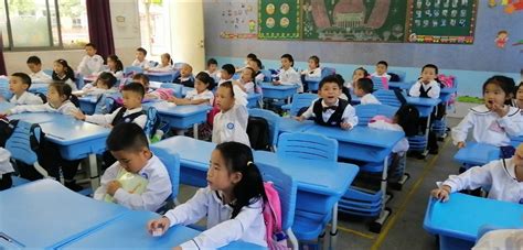 深圳新加坡茵维特中英文学校小学课程