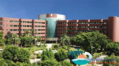 平頂山楓葉國際學(xué)校小學(xué)中英文雙語課程