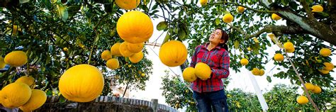 重庆市梁平枫叶国际小学