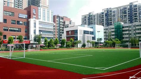 深圳市石岩公学中加课程