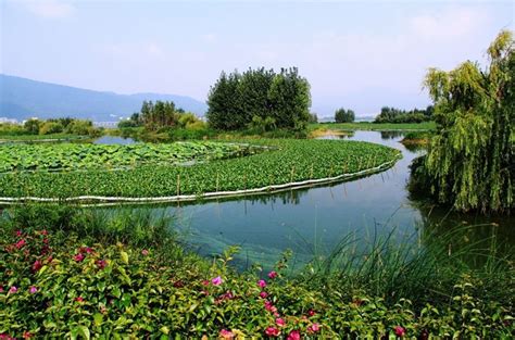 昆明市外国语学校国际部初中中英双语课程