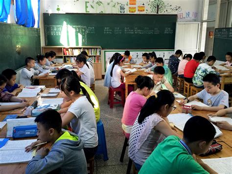 启明星学校初中中英双语课程