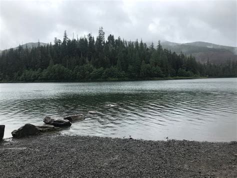 美林湖国际学校小学中英双语课程