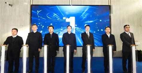 西咸新区空港枫叶国际学校小学中英文双语课程