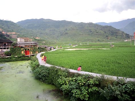 青苗海淀四季青幼儿园