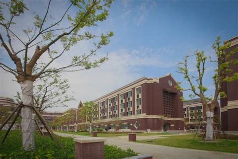 上海建桥国际高中课程