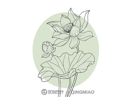 青苗海淀四季青校区（艺术高中10-12年级）