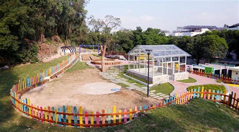 广东碧桂园(IB国际)学校小学中英双语课程