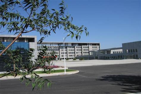 沈阳远见国际学校初中双语课程