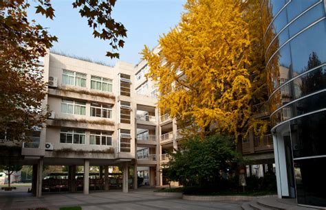 北京外国语大学中加国际班