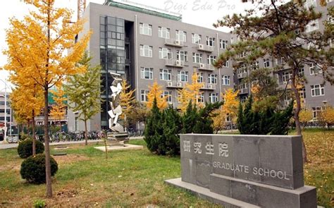 北京理工大学创意艺术国际预科
