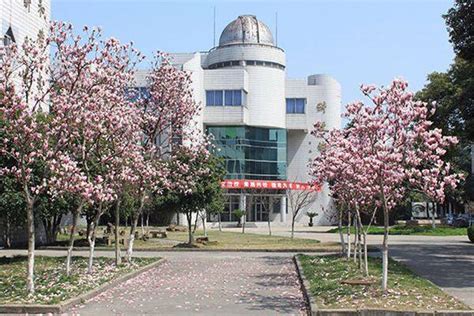 苏州山峰双语学校国际高中Alevel课程