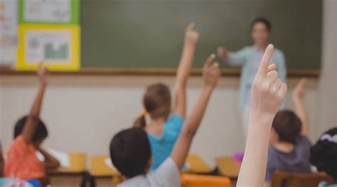 深圳新加坡茵维特中英文学校初中课程