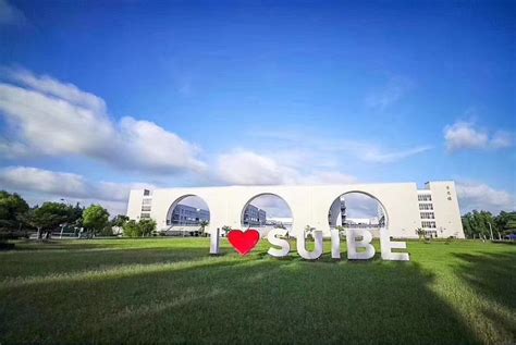 上海对外经贸大学澳大利亚皇家墨尔本理工大学2+2/3+1项目2021年招生简章