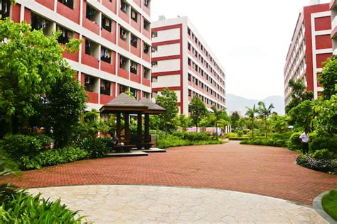广东金融学院HND3+1国际本科留学项目招生简章
