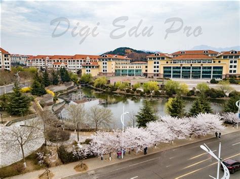 中国海洋大学2+2+1英国东英吉利亚大学本硕连读直通车2021年招生简章