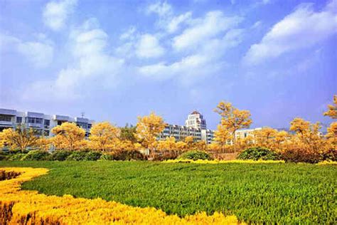 中国海洋大学1+3百强名校国际本科课程2021年招生简章