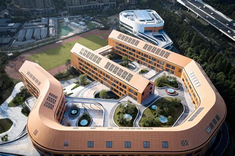 杭州威雅学校小学课程