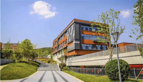 济南枫叶双语学校初中课程