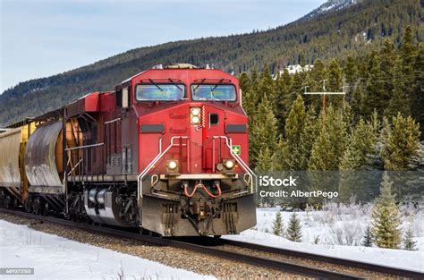 加拿大直通车项目