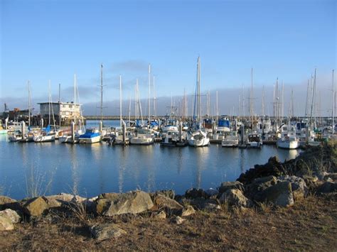 普林斯顿云海谷双语学校小学课程