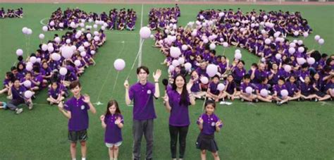 清华志清中学国际部西班牙高中实验班