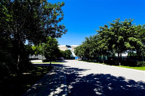 清华志清中学国际部英国高中A-Leve课程