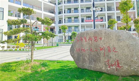 青苗威海校区小学招生简章