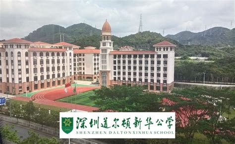 深圳道尔顿新华公学高中课程