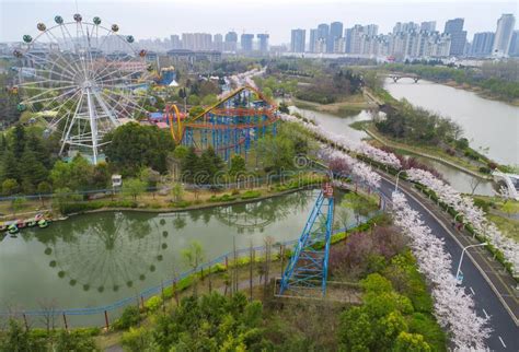 淮安市嘉洋国际学校小学课程