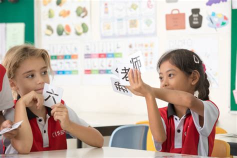 启明星学校小学中英双语课程