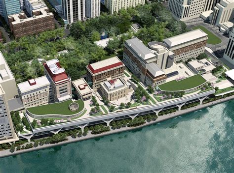 洛克菲勒大学-招生简章