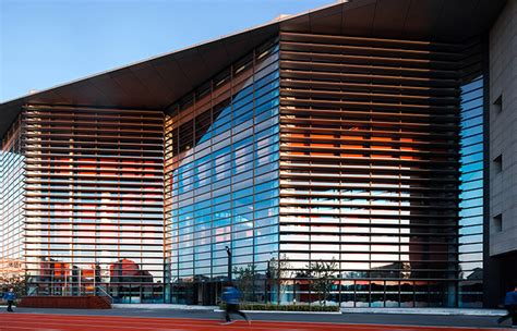 天津泰达枫叶国际学校小学双语课程