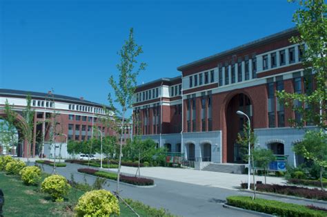 大连枫叶外籍人员子女学校国际初中课程