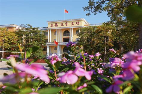 东莞北师大翰林学校国际部高中双语课程