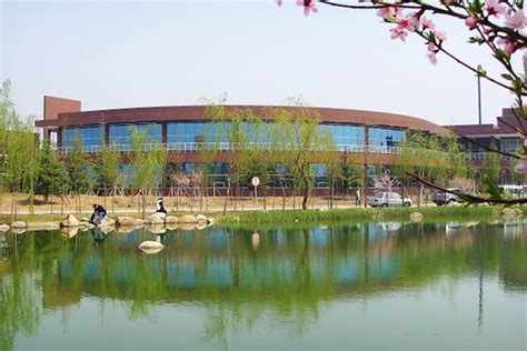 潍坊高新国际学校小学中英双语课程