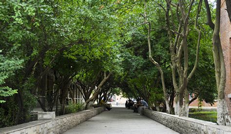 贵州师范大学附属中学国际部中加国际班课程