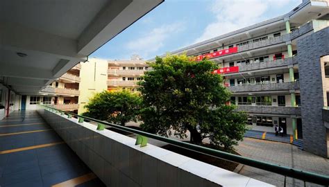 北师大株洲附属学校国际部美国高中课程