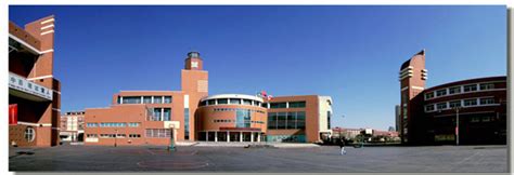 天津华苑枫叶国际学校初中双语课程