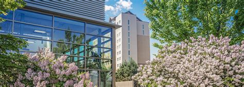 武汉枫叶国际学校枫叶世界学校课程