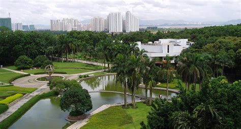 深圳东方英文书院初中IB-MYP课程