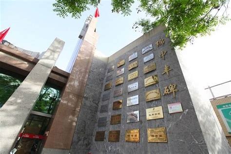 绵阳东辰国际学校高中部