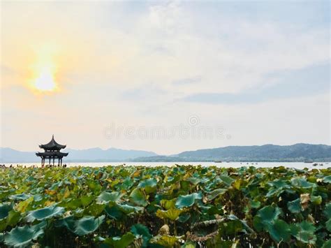 福州西湖国际学校初中中英双语课程