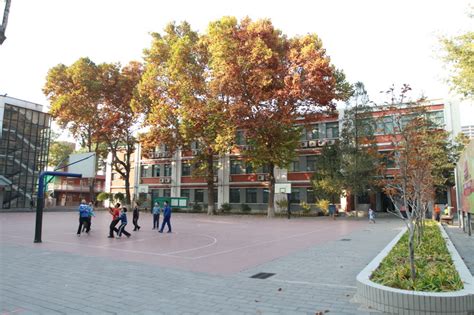 北京师范大学亚太实验学校美国高中1+2/2+1课程