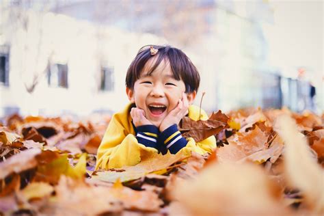 新府学外国语国际预备班