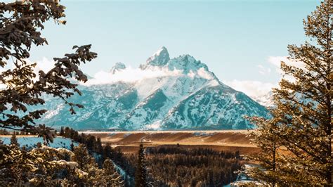 提顿科学院-杰尼斯学校-招生简章