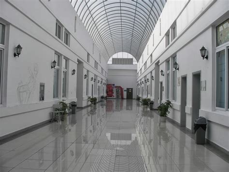 中加枫华国际学校双语幼儿园课程