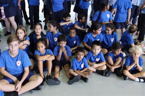 枫叶国际学校幼儿园教育课程