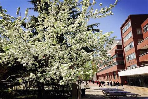 北京新亚学校德国初中实验班